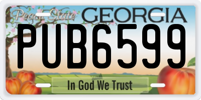 GA license plate PUB6599