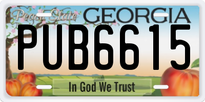 GA license plate PUB6615