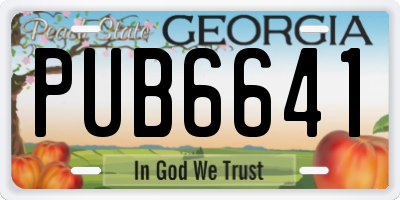 GA license plate PUB6641