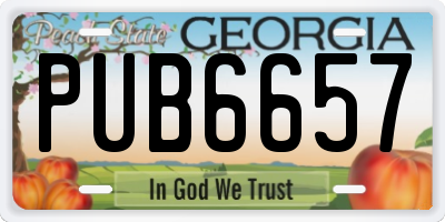 GA license plate PUB6657