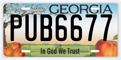 GA license plate PUB6677