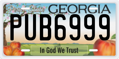 GA license plate PUB6999