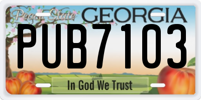 GA license plate PUB7103