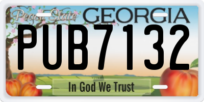 GA license plate PUB7132