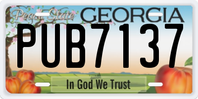 GA license plate PUB7137