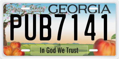 GA license plate PUB7141