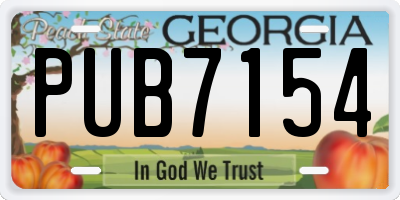 GA license plate PUB7154