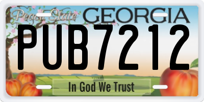 GA license plate PUB7212