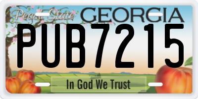 GA license plate PUB7215