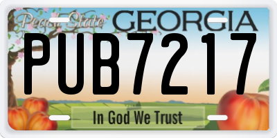 GA license plate PUB7217