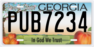 GA license plate PUB7234