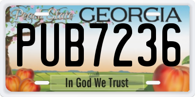 GA license plate PUB7236