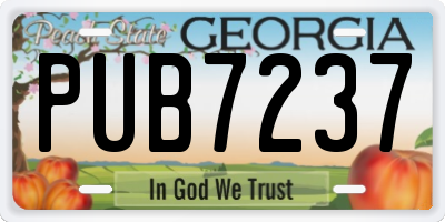 GA license plate PUB7237