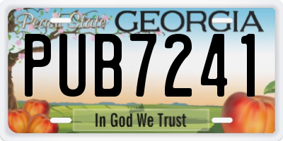 GA license plate PUB7241