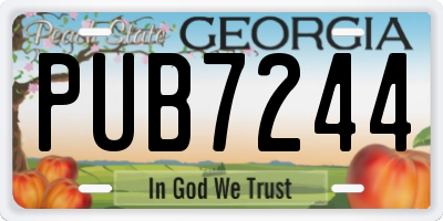 GA license plate PUB7244