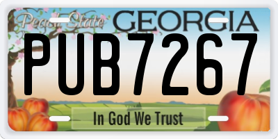 GA license plate PUB7267