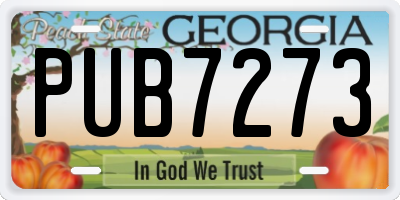 GA license plate PUB7273
