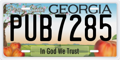 GA license plate PUB7285