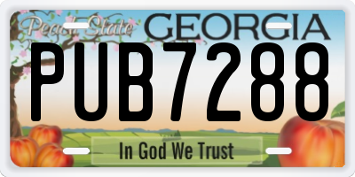 GA license plate PUB7288