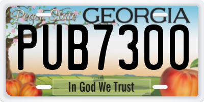 GA license plate PUB7300
