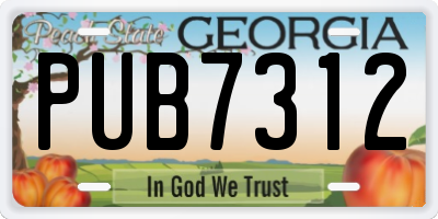 GA license plate PUB7312