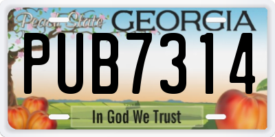 GA license plate PUB7314