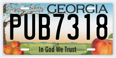GA license plate PUB7318