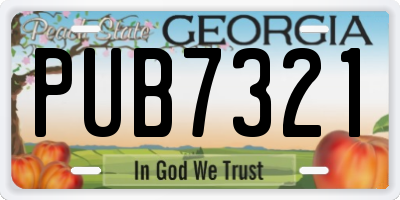 GA license plate PUB7321