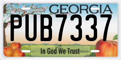 GA license plate PUB7337