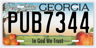 GA license plate PUB7344