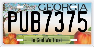 GA license plate PUB7375