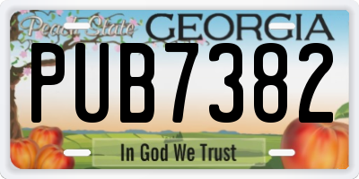 GA license plate PUB7382