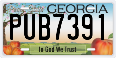 GA license plate PUB7391