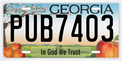 GA license plate PUB7403