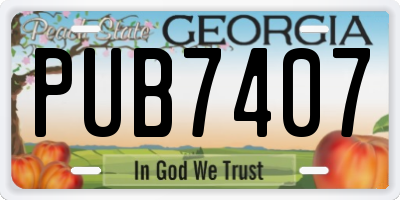 GA license plate PUB7407