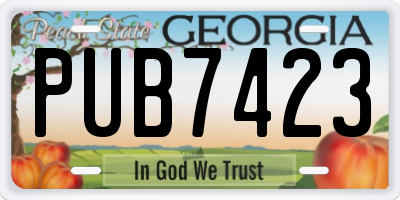 GA license plate PUB7423