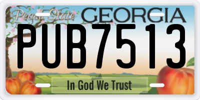 GA license plate PUB7513