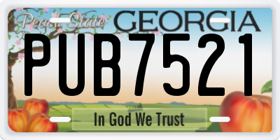 GA license plate PUB7521