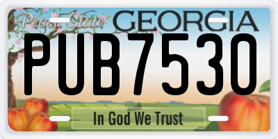 GA license plate PUB7530