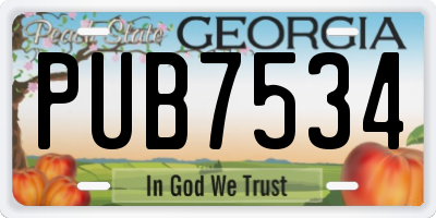 GA license plate PUB7534