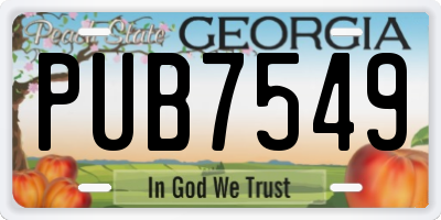 GA license plate PUB7549