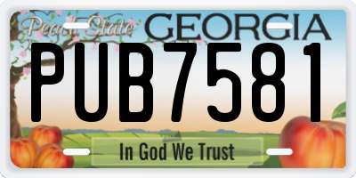 GA license plate PUB7581