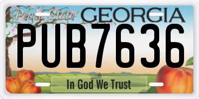 GA license plate PUB7636