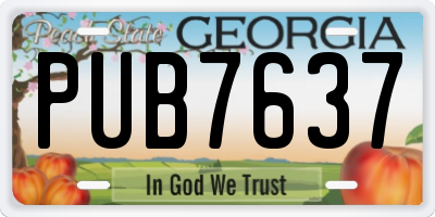 GA license plate PUB7637
