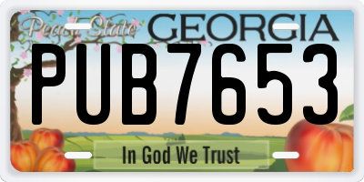 GA license plate PUB7653