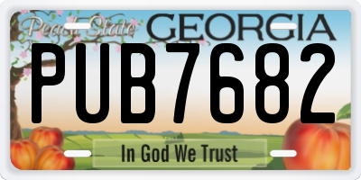 GA license plate PUB7682