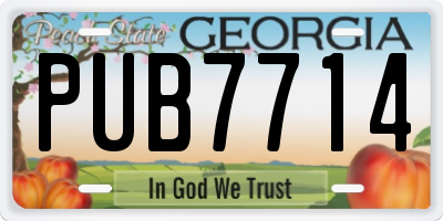 GA license plate PUB7714