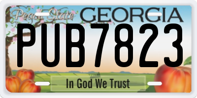 GA license plate PUB7823