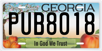 GA license plate PUB8018