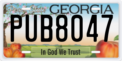 GA license plate PUB8047